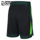 Nike Boston Celtics Lasten Shortsit City Edition 2024-25 Swingman