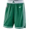 Nike Boston Celtics Miesten Shortsit Icon Edition Swingman