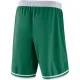 Nike Boston Celtics Miesten Shortsit Icon Edition Swingman
