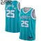 Charlotte Hornets PJ Washington 25 Jordan Lasten Pelipaita Icon Edition Swingman Sinivihreä