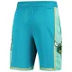 Jordan Charlotte Hornets Miesten Shortsit City Edition 2023-24 Swingman Sinivihreä