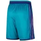 Jordan Charlotte Hornets Miesten Shortsit Classic Edition 2023-24 Swingman Sinivihreä