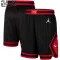 Chicago Bulls Jordan Lasten Shortsit Statement Edition Swingman