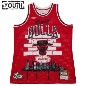 Chicago Bulls Mitchell Ness x Tats Cru Edition Lasten Pelipaita Hardwood Classics 2023-24 Swingman Punainen