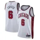 Nike Chicago Bulls Alex Caruso 6 Miesten Pelipaita City Edition 2022-23 Swingman Valkoinen Nike Chicago Bulls Alex Caruso 6 Miesten Pelipaita City Edition 2022-23 Swingman Valkoinen