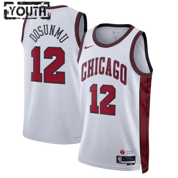 Nike Chicago Bulls Ayo Dosunmu 12 Lasten Pelipaita City Edition 2022-23 Swingman Valkoinen Nike Chicago Bulls Ayo Dosunmu 12 Lasten Pelipaita City Edition 2022-23 Swingman Valkoinen