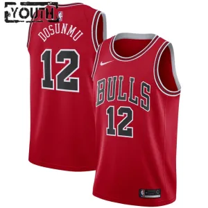 Nike Chicago Bulls Ayo Dosunmu 12 Lasten Pelipaita Icon Edition Swingman Punainen