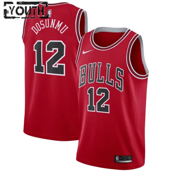 Nike Chicago Bulls Ayo Dosunmu 12 Lasten Pelipaita Icon Edition Swingman Punainen Nike Chicago Bulls Ayo Dosunmu 12 Lasten Pelipaita Icon Edition Swingman Punainen