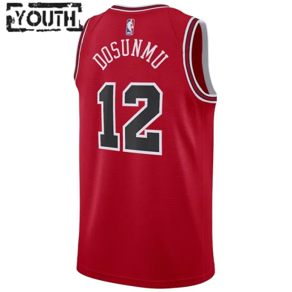 Nike Chicago Bulls Ayo Dosunmu 12 Lasten Pelipaita Icon Edition Swingman Punainen