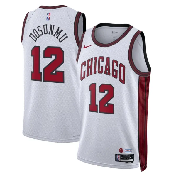 Nike Chicago Bulls Ayo Dosunmu 12 Miesten Pelipaita City Edition 2022-23 Swingman Valkoinen Nike Chicago Bulls Ayo Dosunmu 12 Miesten Pelipaita City Edition 2022-23 Swingman Valkoinen
