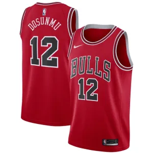 Nike Chicago Bulls Ayo Dosunmu 12 Miesten Pelipaita Icon Edition Swingman Punainen