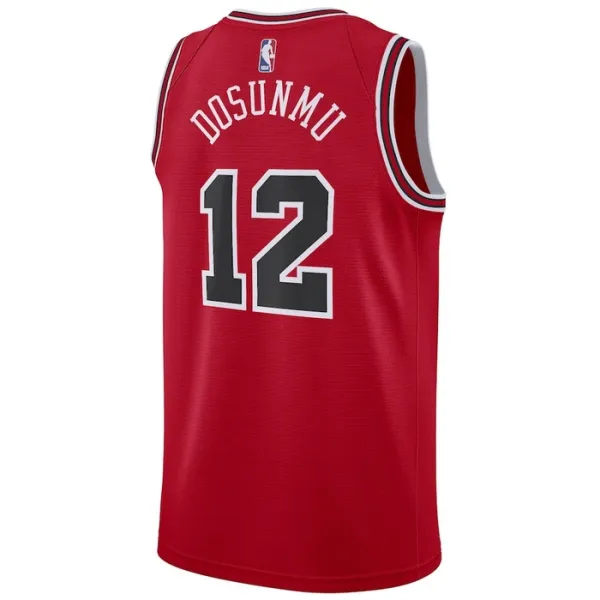 Nike Chicago Bulls Ayo Dosunmu 12 Miesten Pelipaita Icon Edition Swingman Punainen