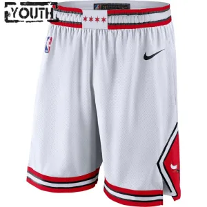 Nike Chicago Bulls Lasten Shortsit Association Edition Swingman Nike Chicago Bulls Lasten Shortsit Association Edition Swingman