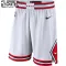 Nike Chicago Bulls Lasten Shortsit Association Edition Swingman