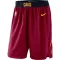 Nike Cleveland Cavaliers Miesten Shortsit Icon Edition Swingman