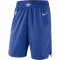Nike Dallas Mavericks Miesten Shortsit Icon Edition Swingman