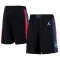Detroit Pistons Jordan Miesten Shortsit Statement Edition Swingman
