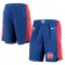 Nike Detroit Pistons Miesten Shortsit Icon Edition Swingman