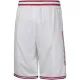 Nike Houston Rockets Miesten Shortsit City Edition 2023-24 Swingman
