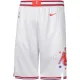 Nike Houston Rockets Miesten Shortsit City Edition 2023-24 Swingman