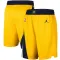 Indiana Pacers Jordan Miesten Shortsit Statement Edition Swingman