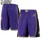 Los Angeles Lakers Jordan Lasten Shortsit Statement Edition Swingman