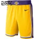 Nike Los Angeles Lakers Lasten Shortsit Icon Edition Swingman