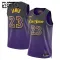 Nike Los Angeles Lakers Lebron James Lasten Pelipaita City Edition 2024-25 Swingman Violetti