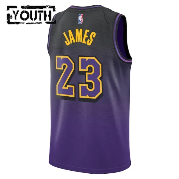 Nike Los Angeles Lakers Lebron James Lasten Pelipaita City Edition 2024-25 Swingman Violetti