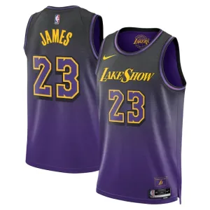 Nike Los Angeles Lakers Lebron James Miesten Pelipaita City Edition 2024-25 Swingman Violetti
