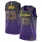 Nike Los Angeles Lakers Lebron James Miesten Pelipaita City Edition 2024-25 Swingman Violetti