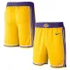 Nike Los Angeles Lakers Miesten Shortsit Icon Edition Swingman Nike Los Angeles Lakers Miesten Shortsit Icon Edition Swingman