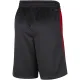 Nike Miami Heat Miesten Shortsit City Edition 2023-24 Swingman