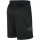 Nike New Orleans Pelicans Miesten Shortsit City Edition 2023-24 Swingman