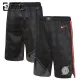 Nike Portland Trail Blazers Lasten Shortsit City Edition 2024-25 Swingman Nike Portland Trail Blazers Lasten Shortsit City Edition 2024-25 Swingman