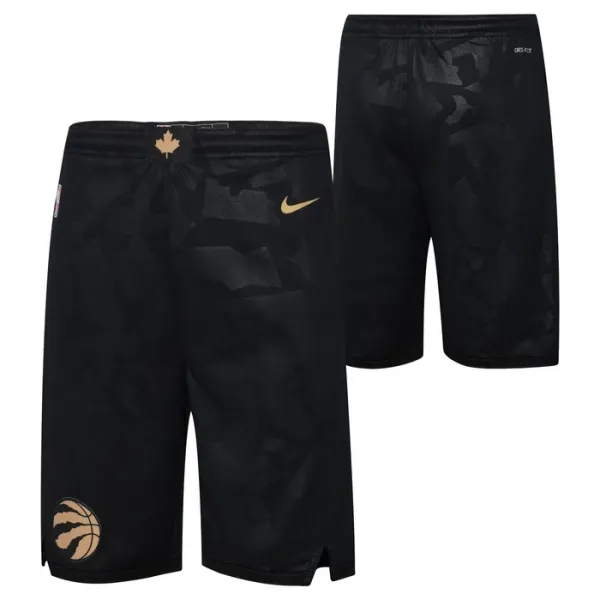 Nike Toronto Raptors Miesten Shortsit City Edition 2022-23 Swingman Nike Toronto Raptors Miesten Shortsit City Edition 2022-23 Swingman
