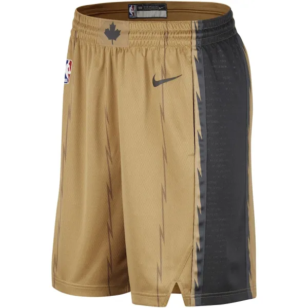 Nike Toronto Raptors Miesten Shortsit City Edition 2023-24 Swingman