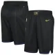 Nike Toronto Raptors Miesten Shortsit City Edition 2024-25 Swingman Nike Toronto Raptors Miesten Shortsit City Edition 2024-25 Swingman