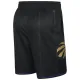 Nike Toronto Raptors Miesten Shortsit City Edition 2024-25 Swingman
