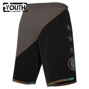 Nike Washington Wizards Lasten Shortsit City Edition 2023-24 Swingman